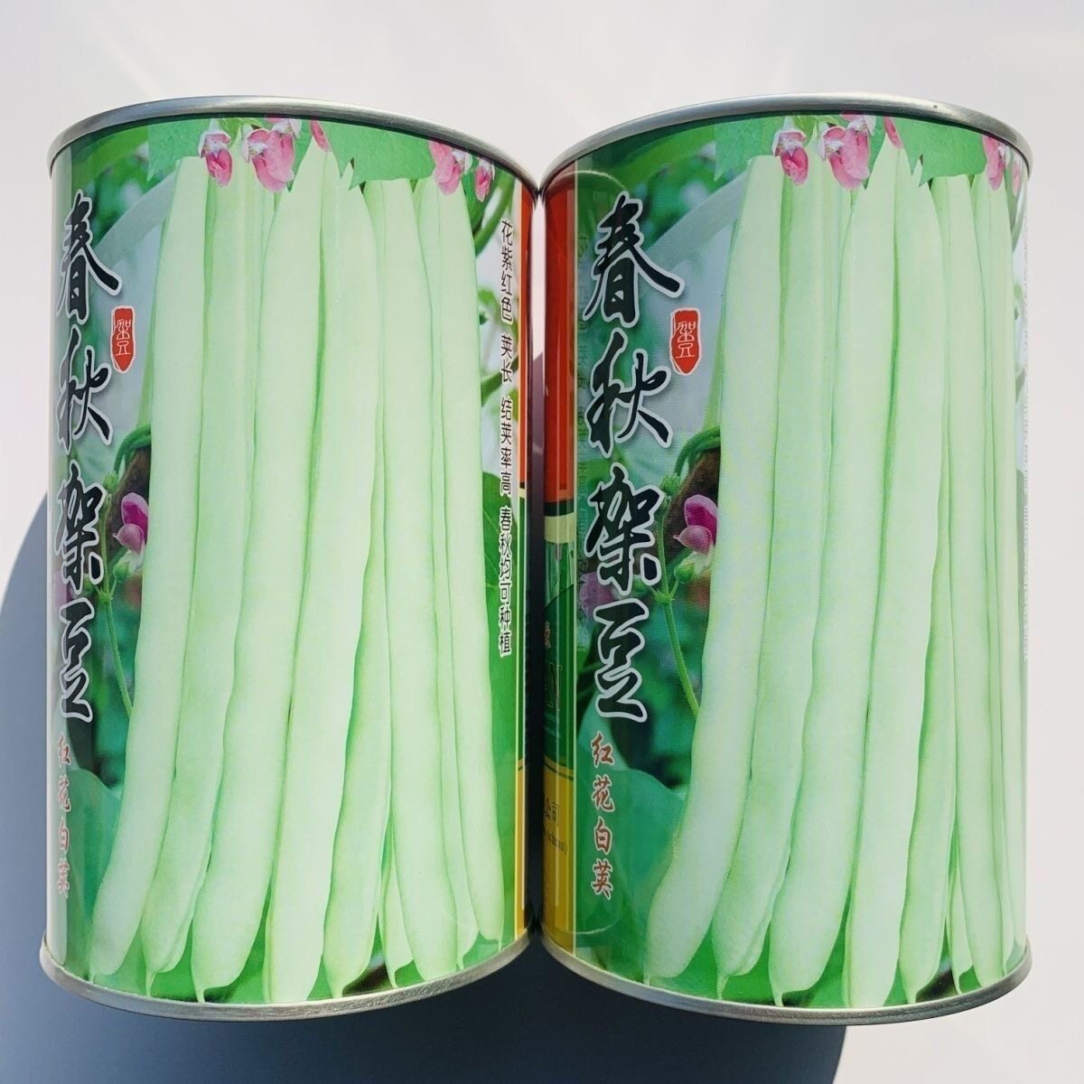 春秋架豆四季豆种子肉厚纤维少芸豆种子春秋两用红花白荚架豆种子