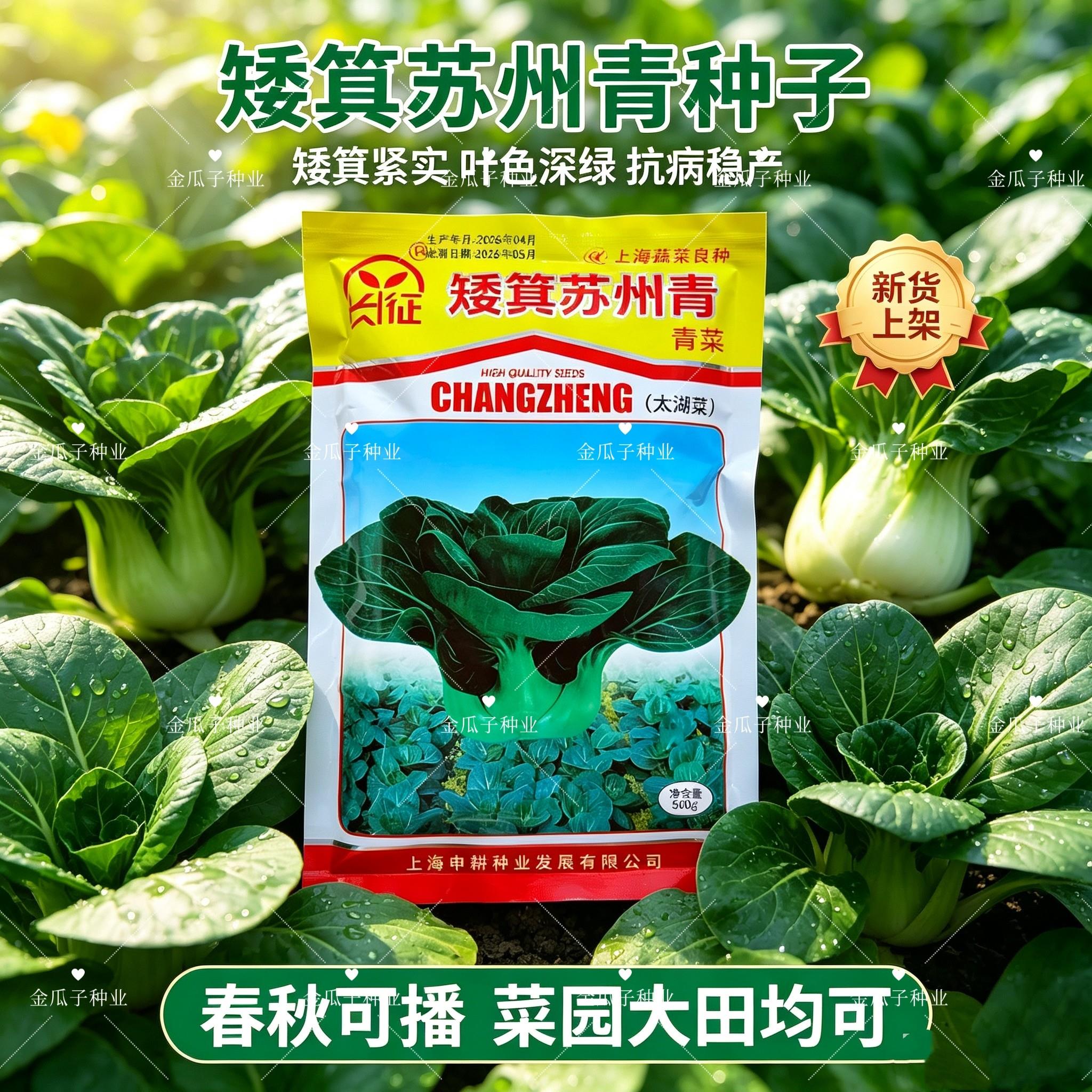 长征矮箕苏州青种子太湖菜叶色深绿青梗菜种子矮脚青菜种子蔬菜