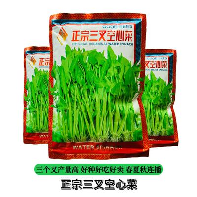 空心菜种子正宗三叉空心菜种子旱地水地皆宜种植春夏秋三季可播种
