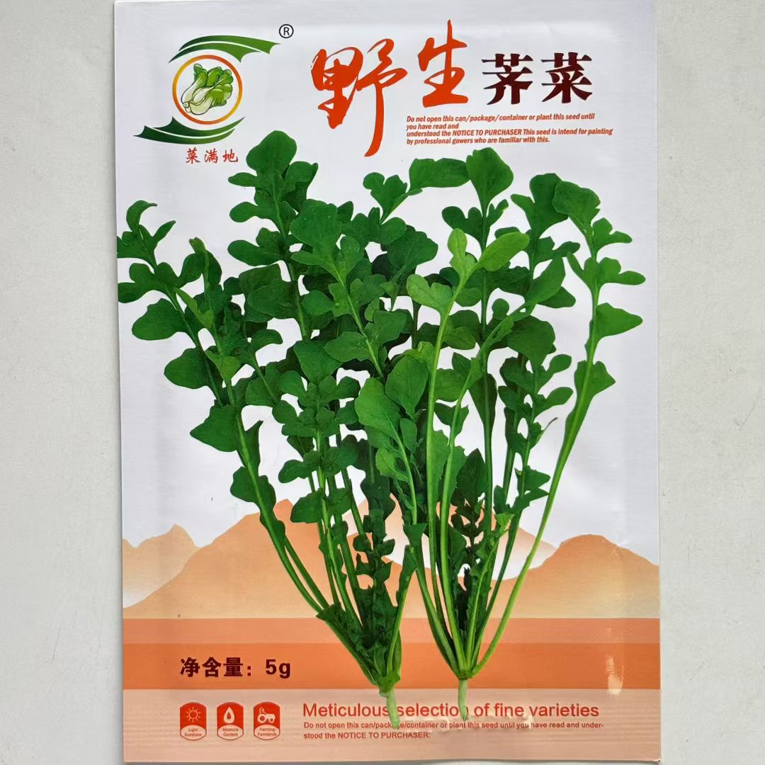 野生荠菜种子野生荠荠菜种子清香鲜嫩野菜籽四季播特色蔬菜种子