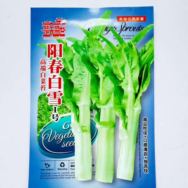 阳春白雪I号甜苔菜种子高端品质口感清香甜抽苔快耐热耐寒春秋季