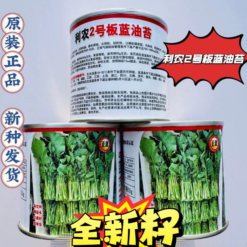 利农2号板蓝油苔种籽子大田基地早中熟高产耐热翠绿软糯香甜菜苔