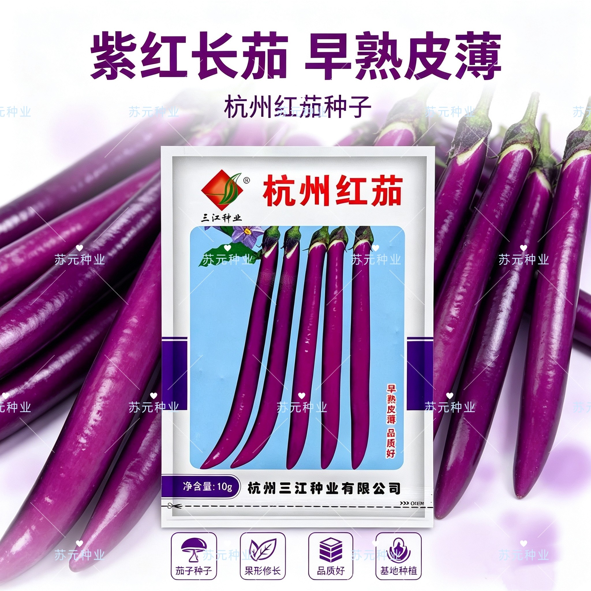 杭州红茄茄子种子紫红长线茄籽农家大田阳台易种四季种植蔬菜种籽