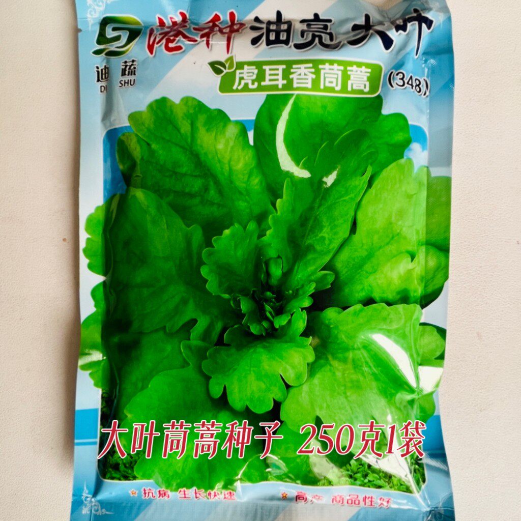 茼蒿种子港种油亮大叶虎耳香茼蒿种籽农家菜园秋播抗病优质蔬菜孑