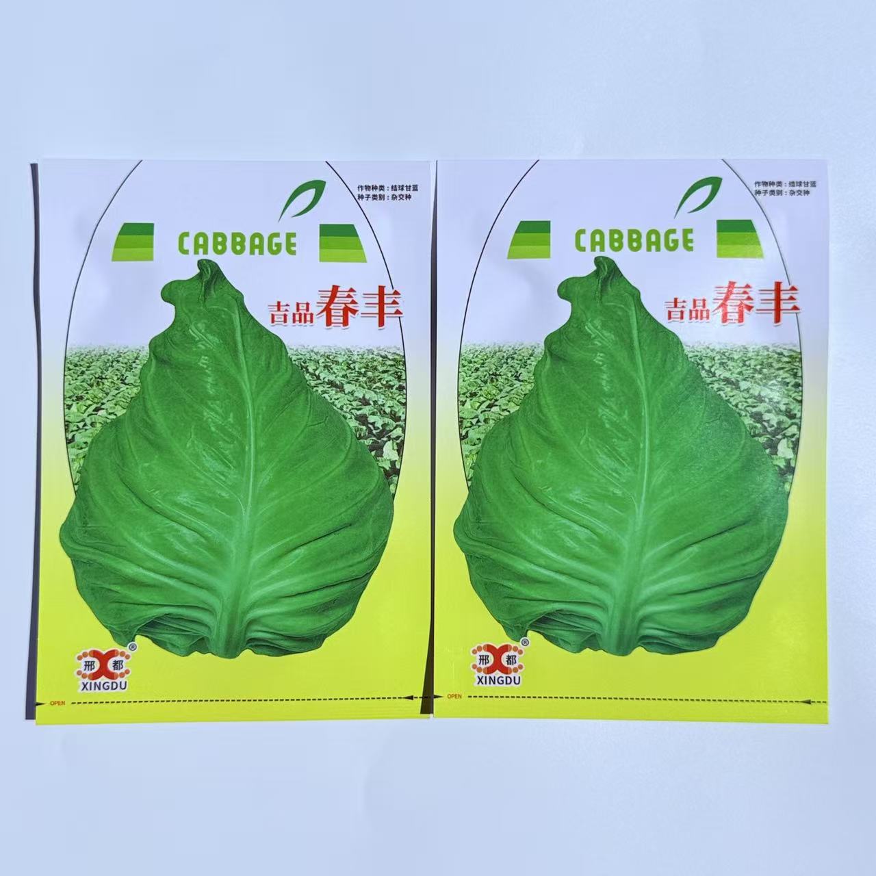 吉品春丰牛心甘蓝种子早熟尖球包菜耐寒耐抽苔春秋卷心菜种籽