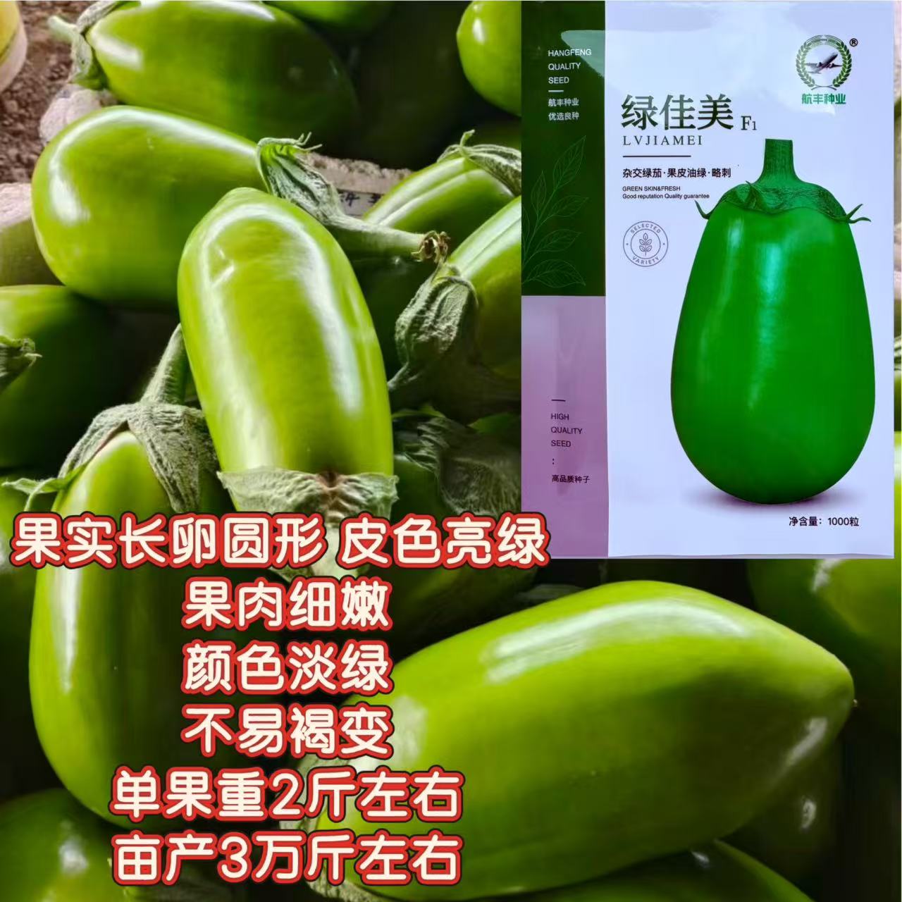 绿佳美F1绿茄子种子 杂交油绿略刺大果绿茄 高产抗病大田蔬菜种籽