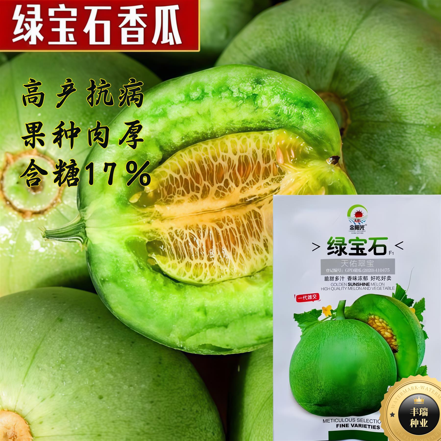 绿宝石甜瓜种子脆甜多汁香味浓郁汁高产抗病高质瓜果蔬菜种