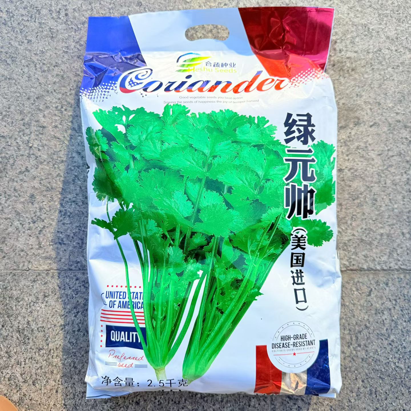 香菜芫荽绿元帅美国进口大叶香菜耐低温四季均可种植蔬菜种子