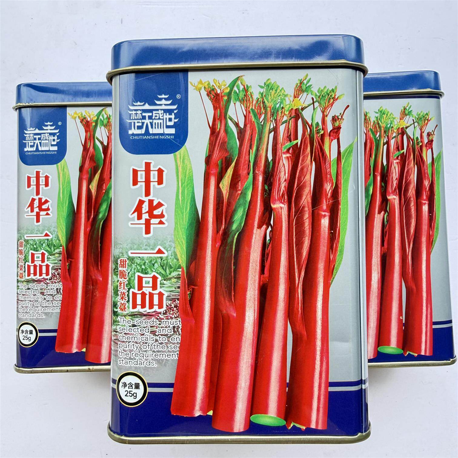 贵州红菜苔楚天盛世中华一品武汉红菜苔种子抗病高产早熟种子