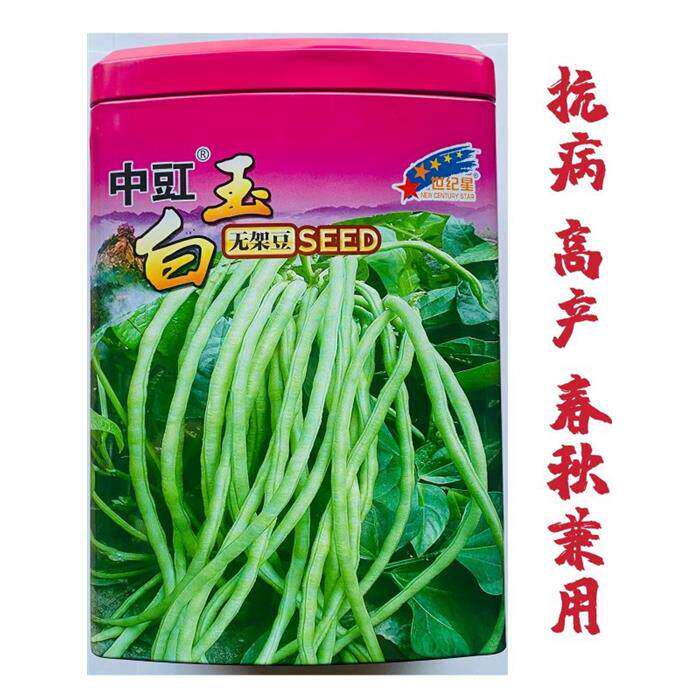 星中豆白玉无架豆种子高产早熟四季豆角易种蔬菜种子豆类蔬菜