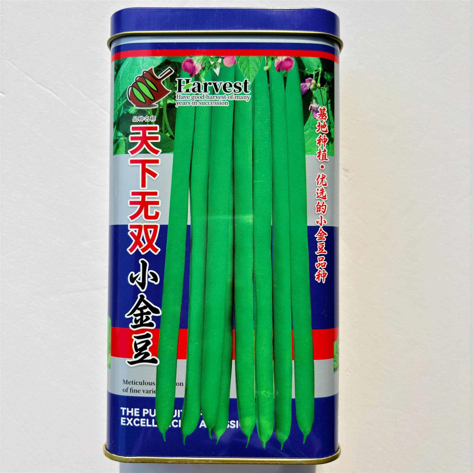 天下无双小金豆四季豆种子有架爬藤芸豆无筋农家蔬菜种籽