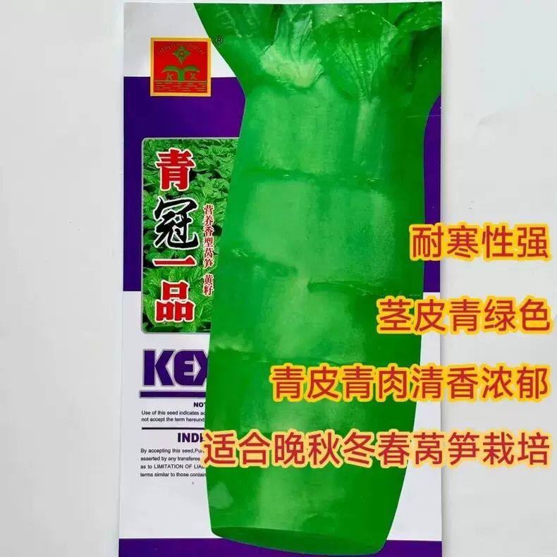 科兴青冠一品圆叶莴笋种子青皮青肉莴笋种子适宜晚秋冬春栽培