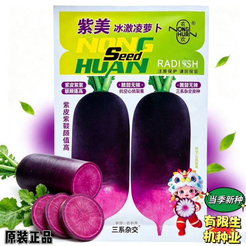 农欢紫美冰激凌萝卜种子三系杂交紫皮紫瓤甜脆水果萝卜秋播蔬菜籽