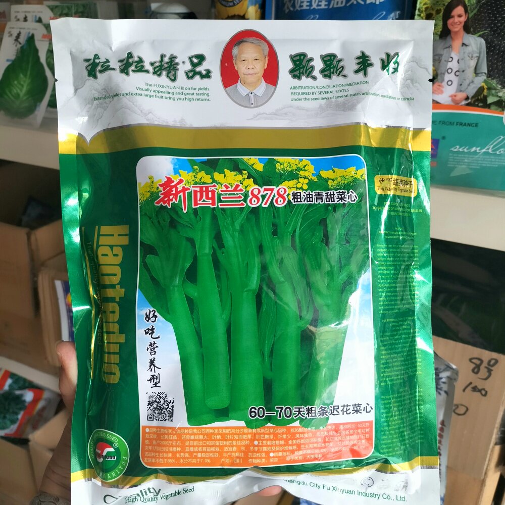 新西兰878甜菜心种子耐热耐寒粗油青菜苔种籽南北方春秋冬季播种