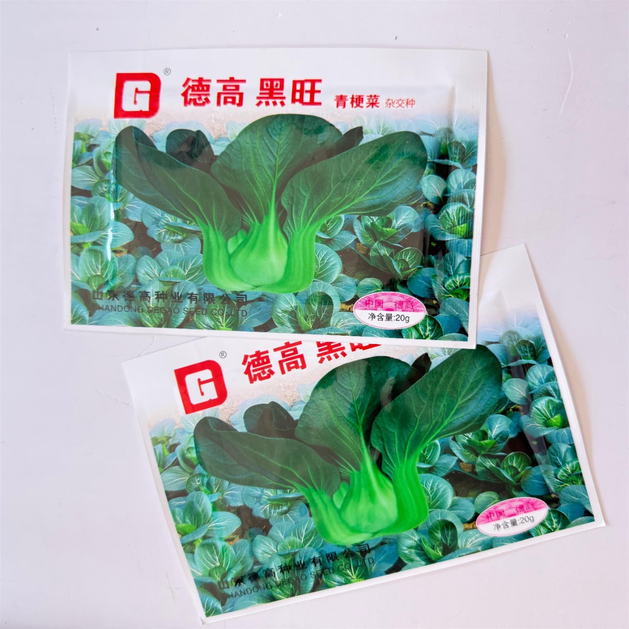 黑旺青梗菜种子高产抗病耐热耐寒农家菜园家庭种植蔬菜种子籽