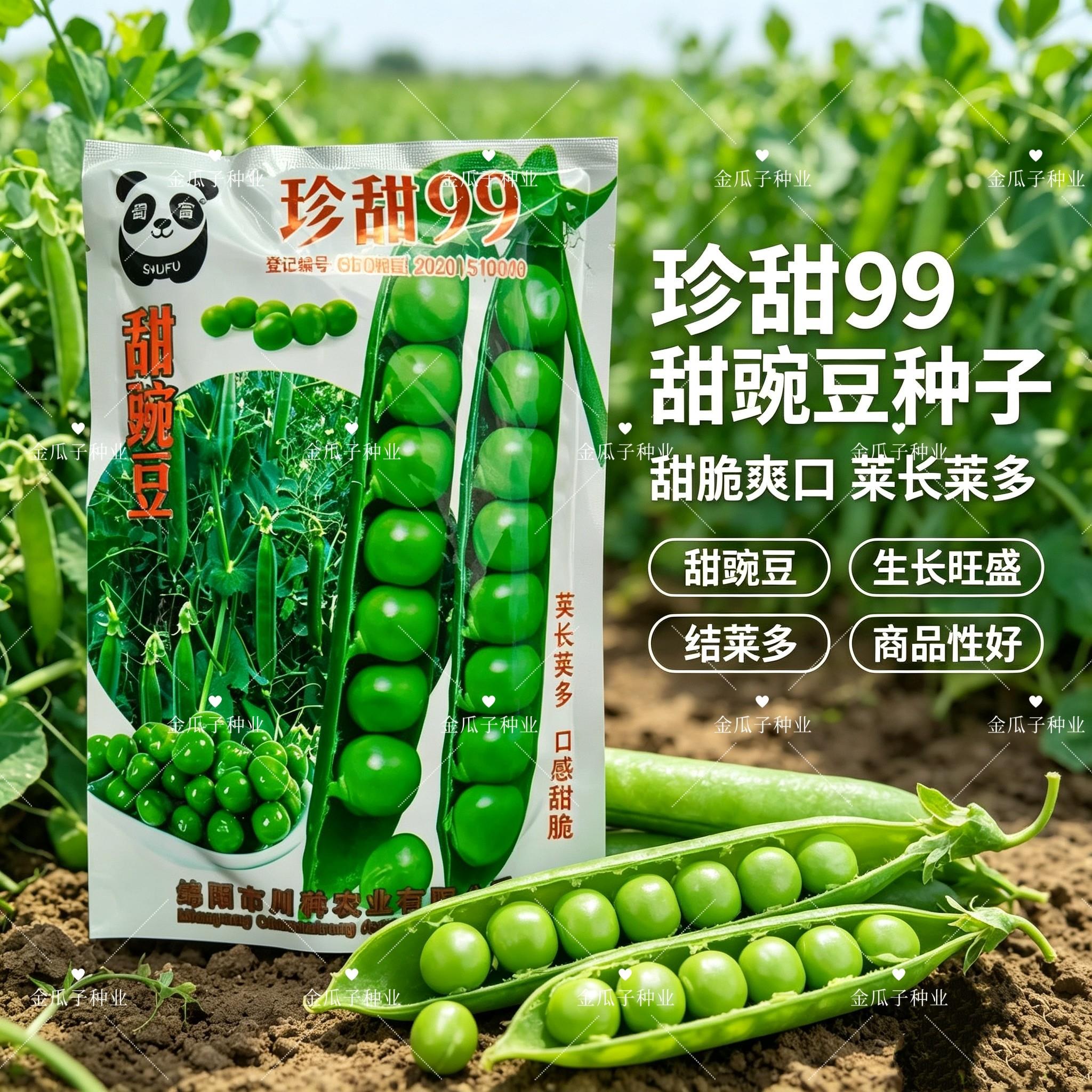珍甜99水果豌豆种子甜脆荚长荚多豆荚大品质好豌豆仁种籽大田用种
