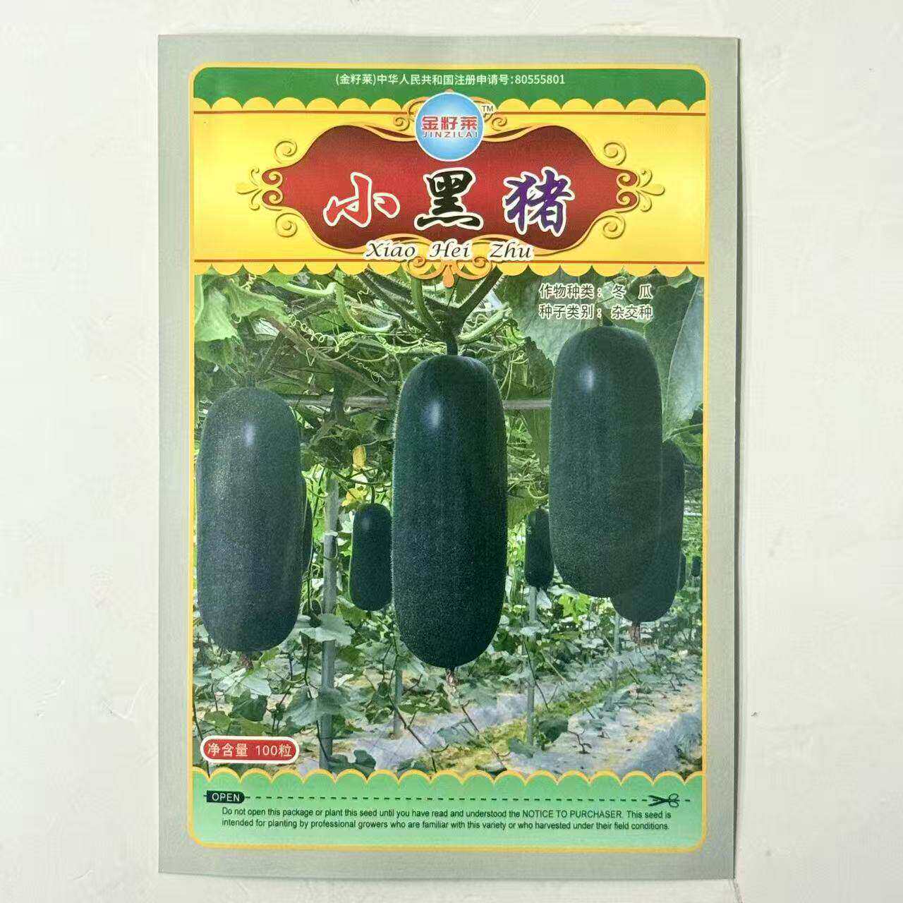 小黑猪冬瓜种子早熟肉厚抗病耐储墨绿春秋春季蔬菜种孑