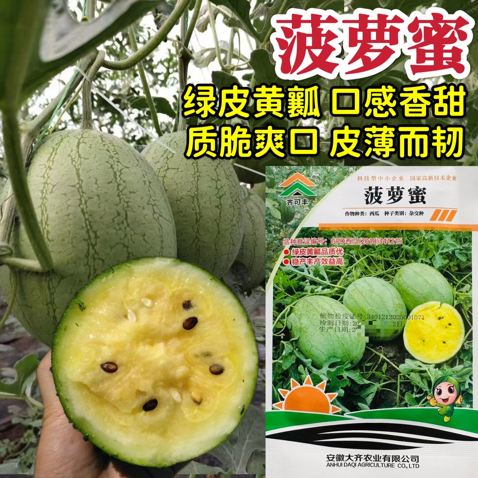 大齐菠萝蜜西瓜种子香甜黄瓤礼品西瓜种子早熟椭圆形质脆爽口皮薄