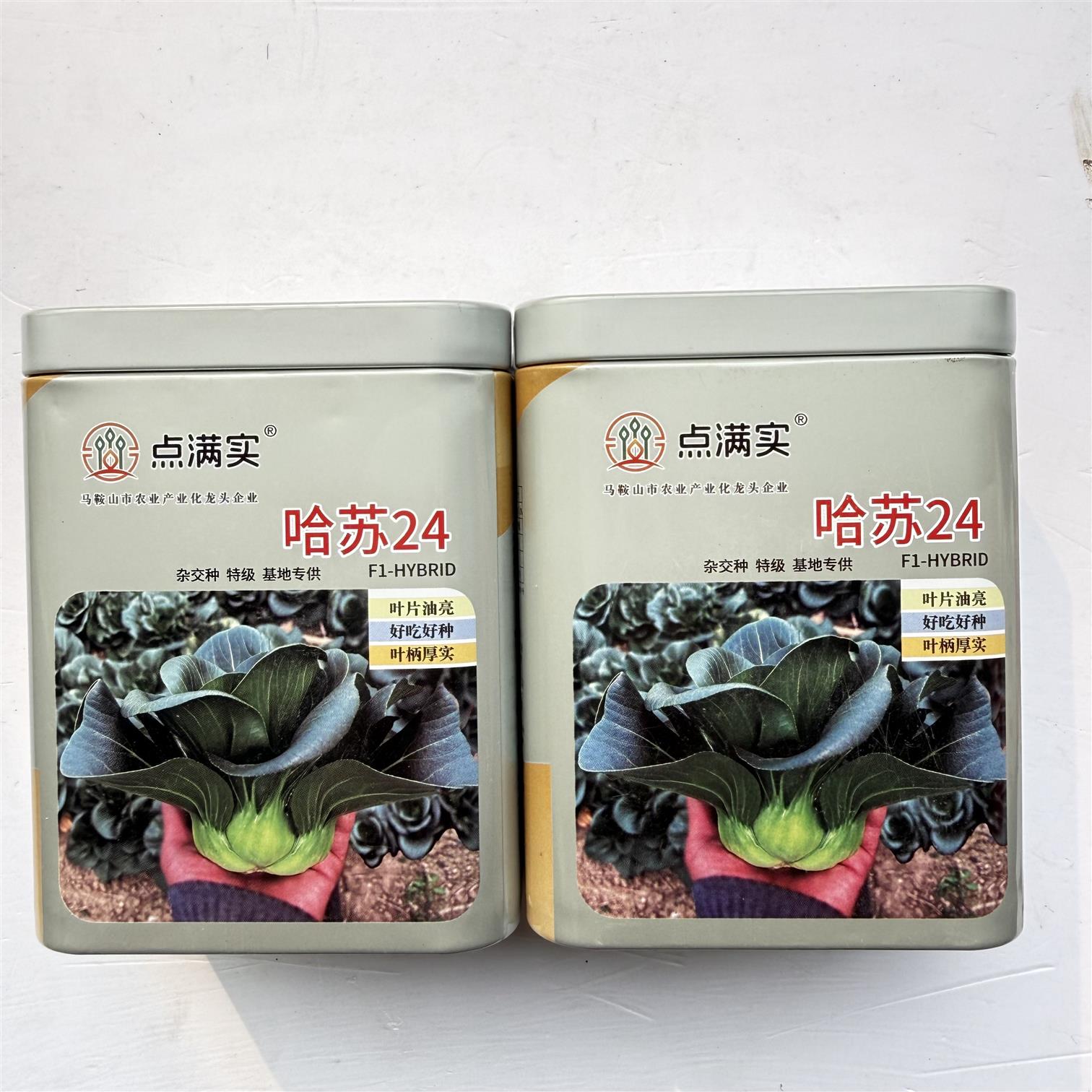 点满实哈苏24杂交苏州青菜种子抗病大头束腰墨绿油亮青梗菜种籽孑