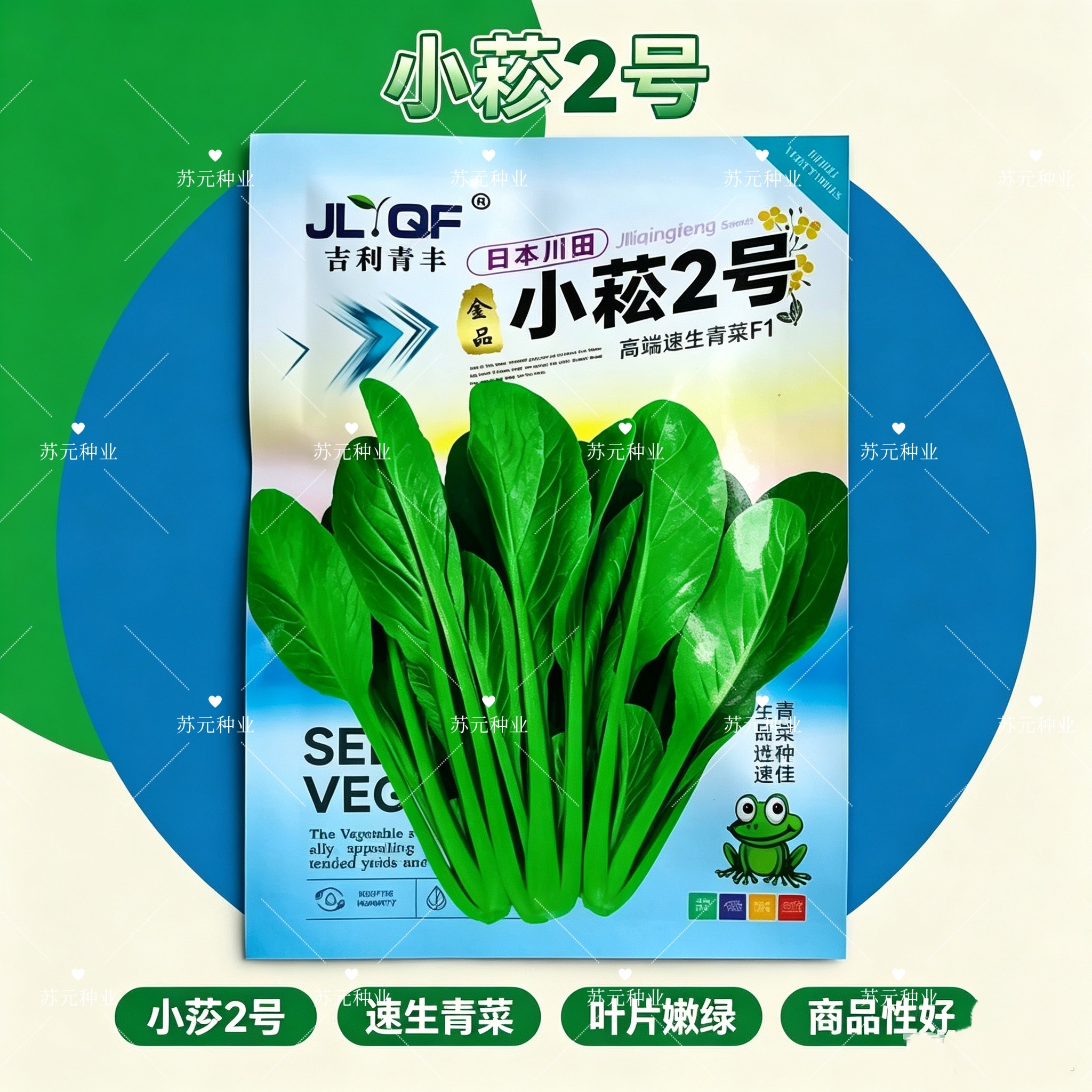 小松菜种子小菘2号油绿直立纤维少口感脆甜速生青菜油菜小白菜孑图片