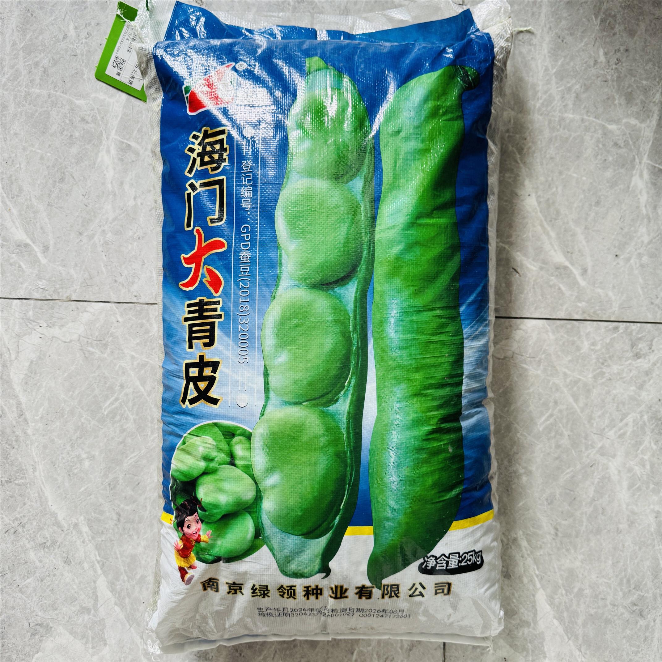 绿领海门大青皮蚕豆种子高产抗病抗倒伏商品性佳农家春秋播胡豆籽