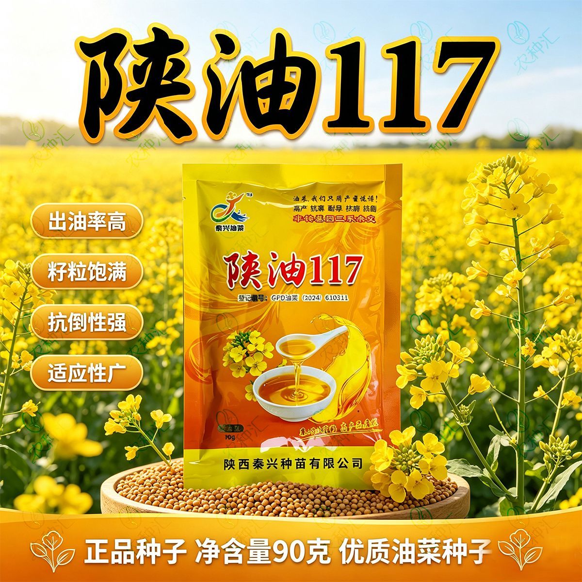陕油117油菜种子三系杂交高产高油抗倒伏抗寒油菜籽种子非转基因