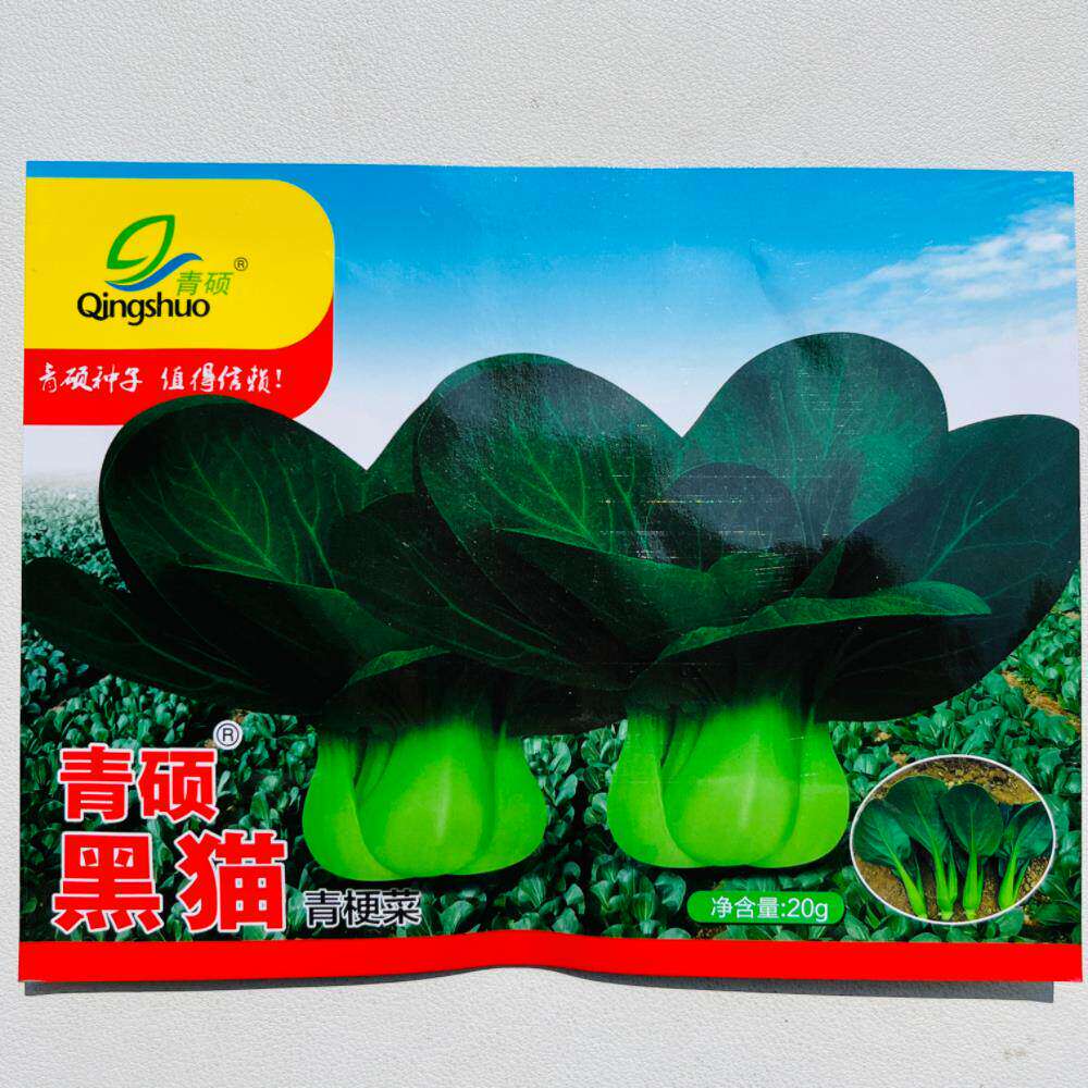 黑猫青梗菜苏州青种子高产抗病耐热耐寒农家菜园家庭种植蔬菜种子