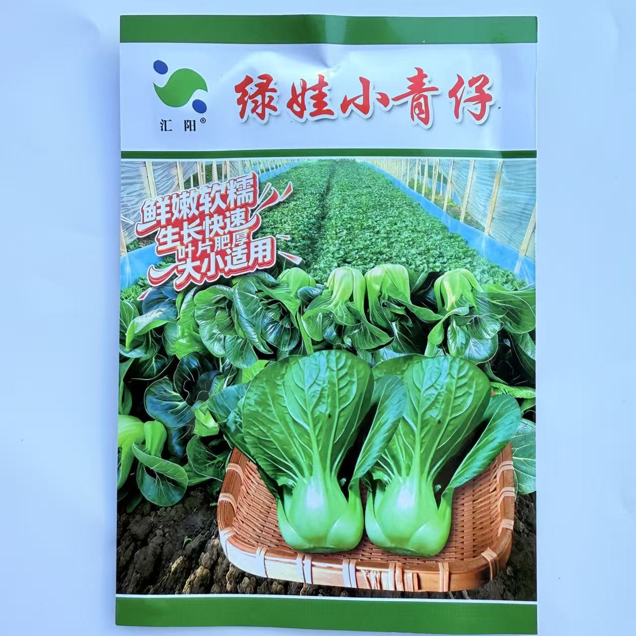 绿娃小青仔种子杂交早熟青菜耐寒软糯四季小青菜上海青种籽子