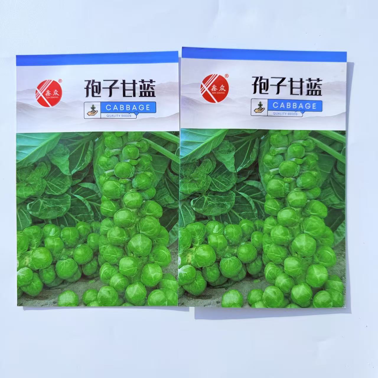孢子甘蓝种子迷你小包菜种籽高产抗病农家菜园春秋播种蔬菜种