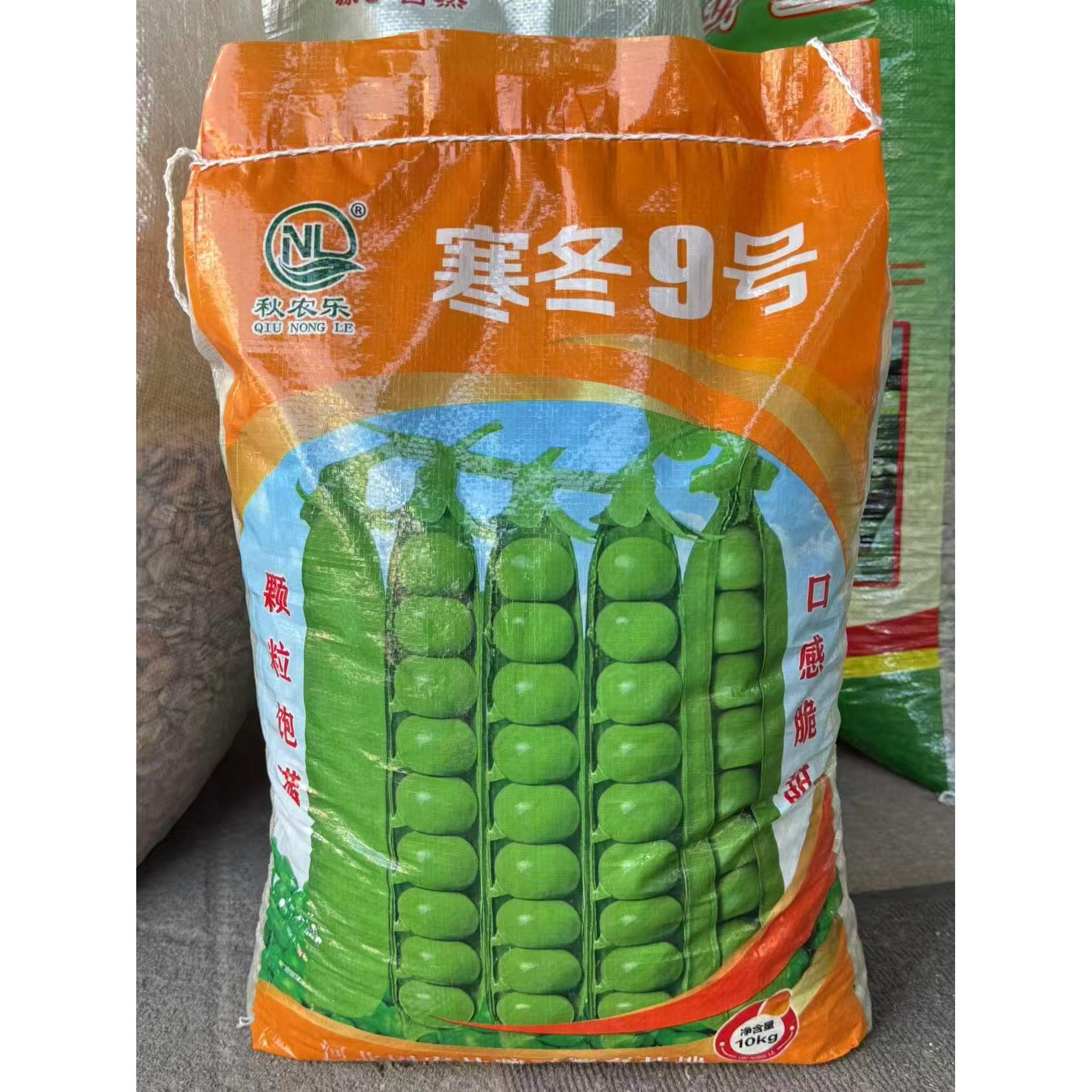 寒冬9号甜脆豌豆种子籽大青豆种籽四季蔬菜种孑高产抗病耐热耐寒