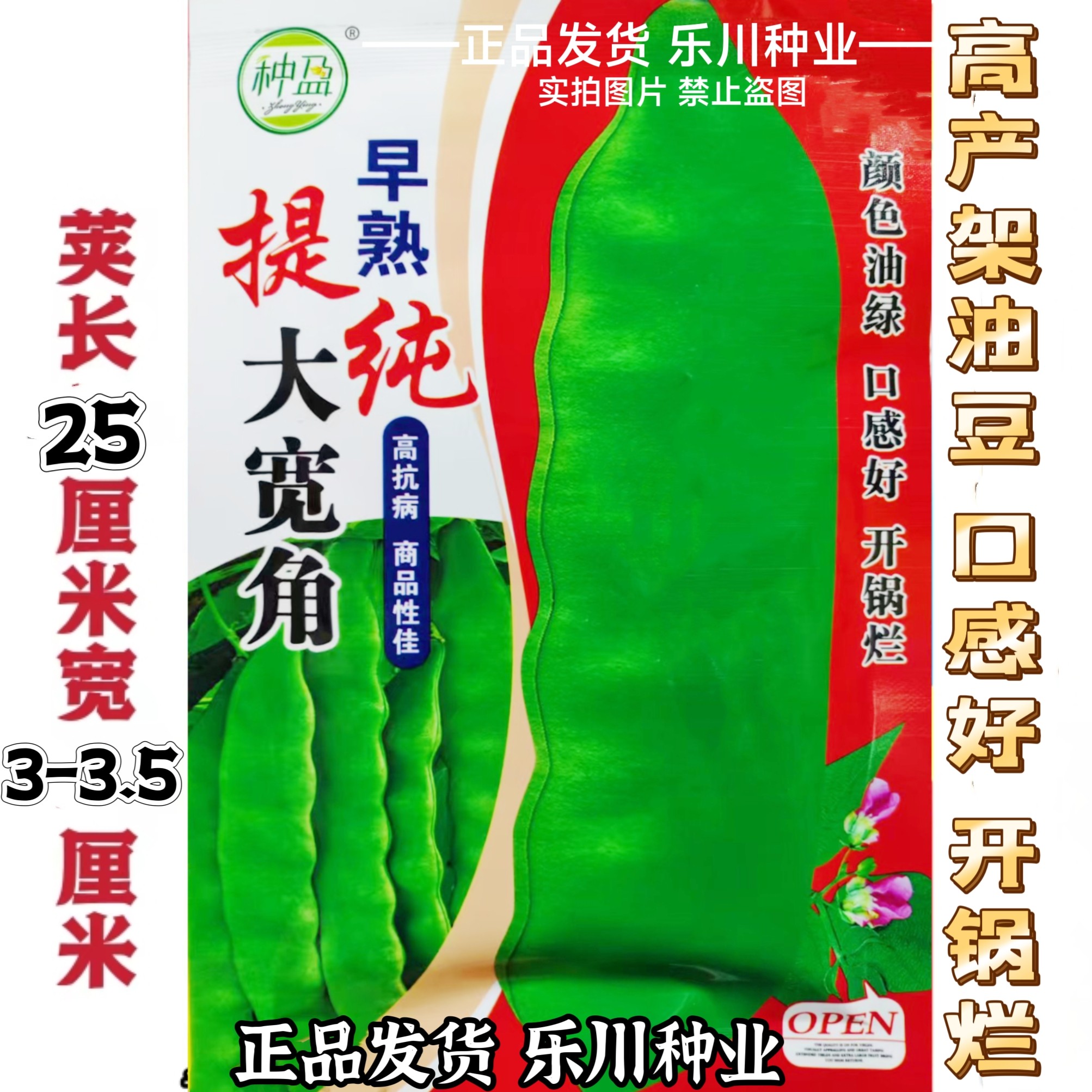 东北架油豆种子肉厚无筋开锅烂高产摘不败架豆油大宽豆角种籽早熟