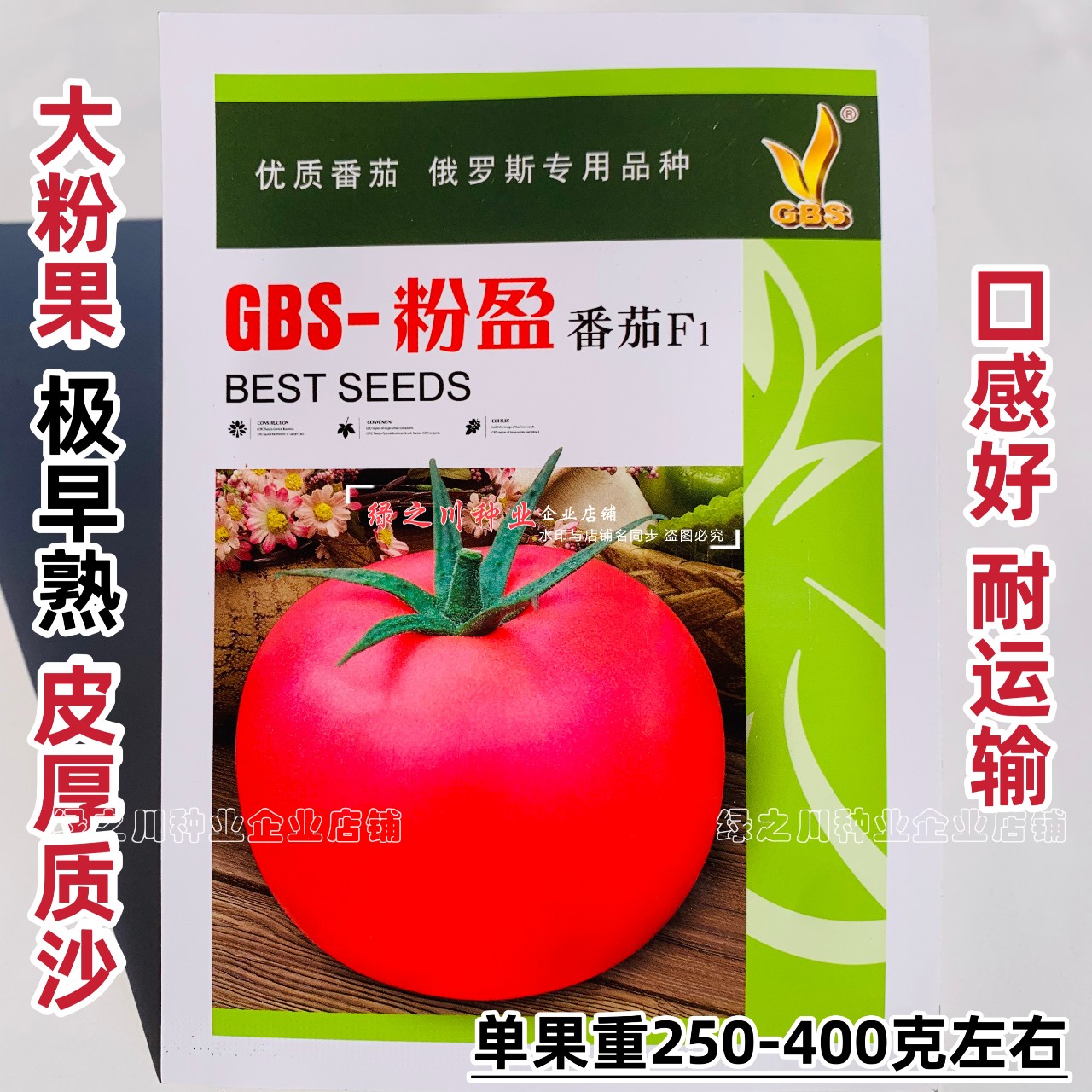 粉盈番茄以色列引进大粉果番茄种子无限生长沙甜粉红西红柿籽大果