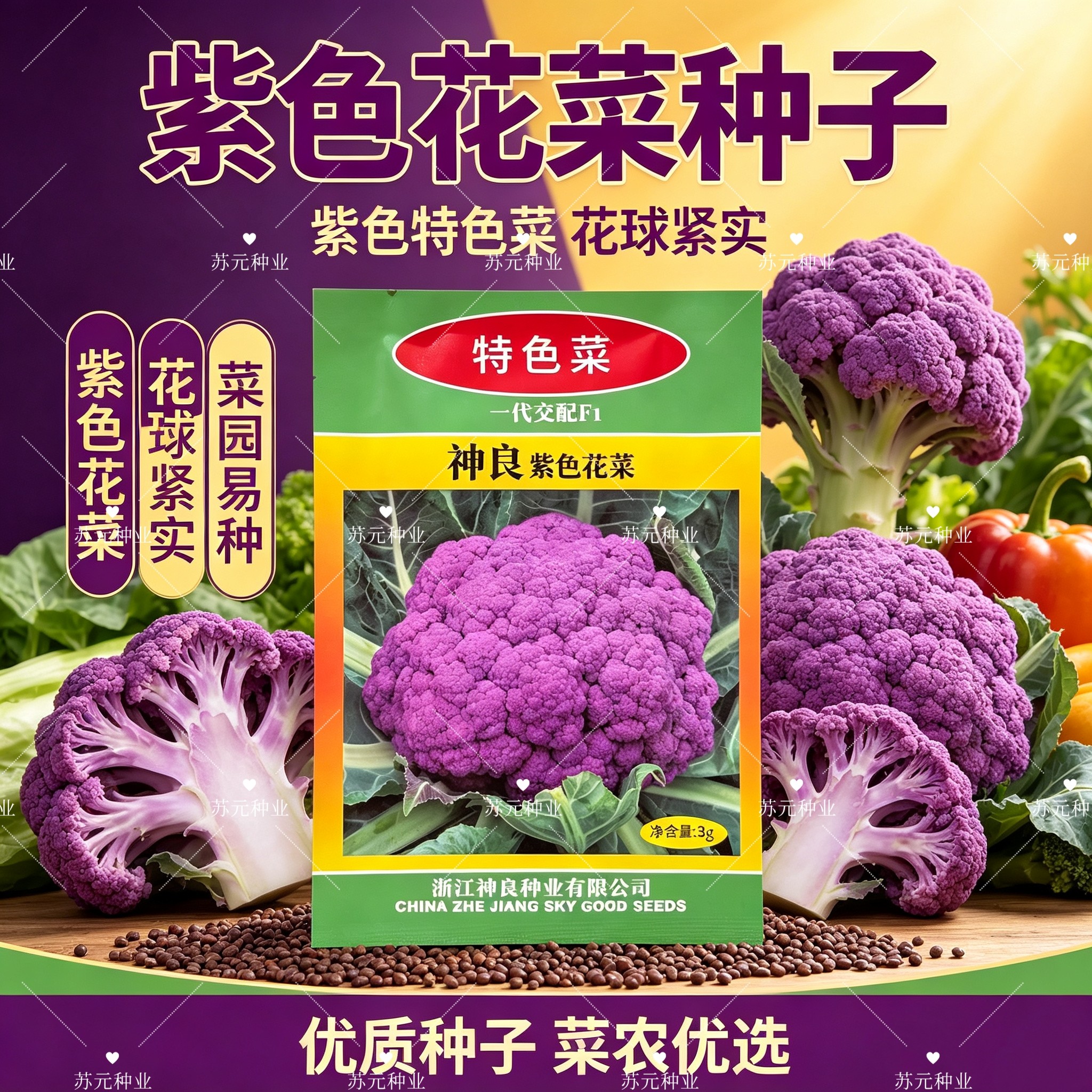 神良紫色花菜花椰菜种子紫色菜花种籽送花菜耐寒抗病菜花种孑