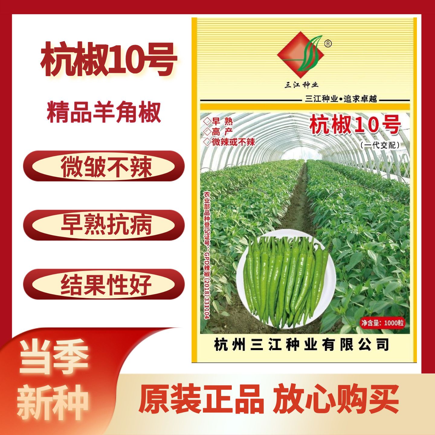 三江杭椒10号杭椒种子早熟杂交微辣或不辣羊角椒种子春秋蔬菜种子