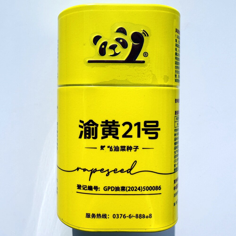 渝黄21号油菜种子杂交甘蓝型高产耐寒抗倒伏油菜种籽农家秋冬季播