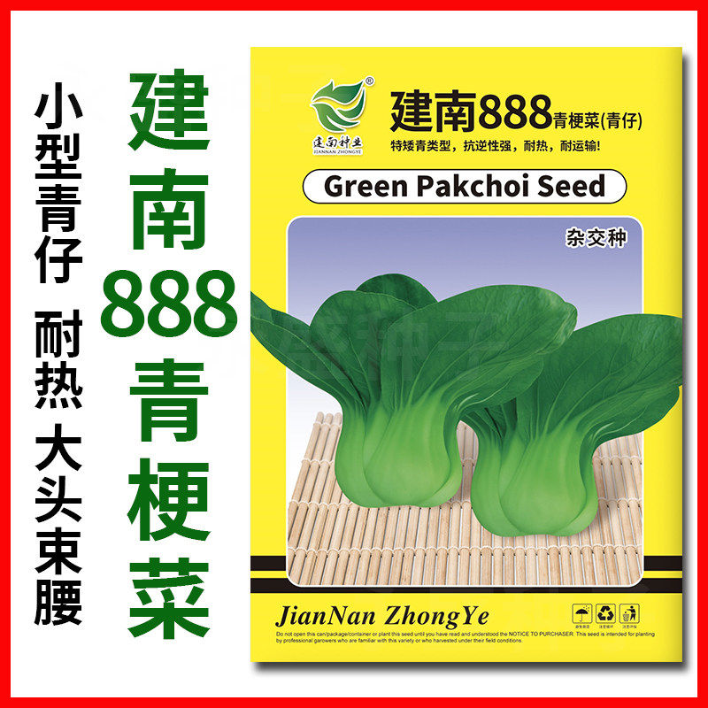 建南888小青仔青梗菜种籽四季小油菜籽种特矮脚青菜种子蔬菜种孑