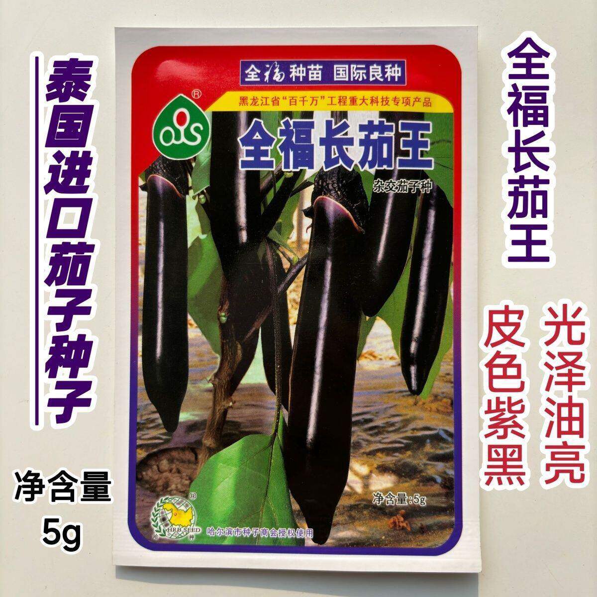 全福长茄王茄子种子杂交紫黑长茄种籽春秋播耐热耐寒高产蔬菜种孑
