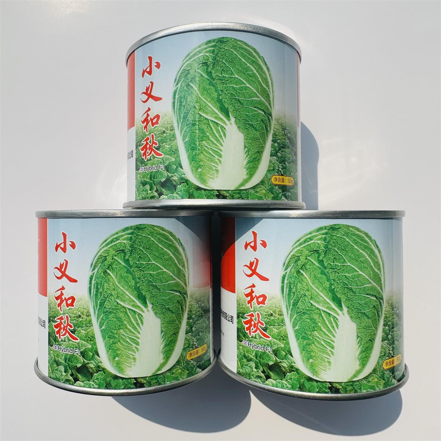 小义和秋高产早熟胶州大白菜种子50克抗病秋白菜适宜秋季种孑籽