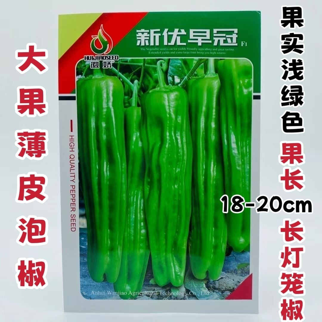 新优早冠辣椒种子早熟灯笼椒种子薄皮高产青椒种子大果型泡椒种子