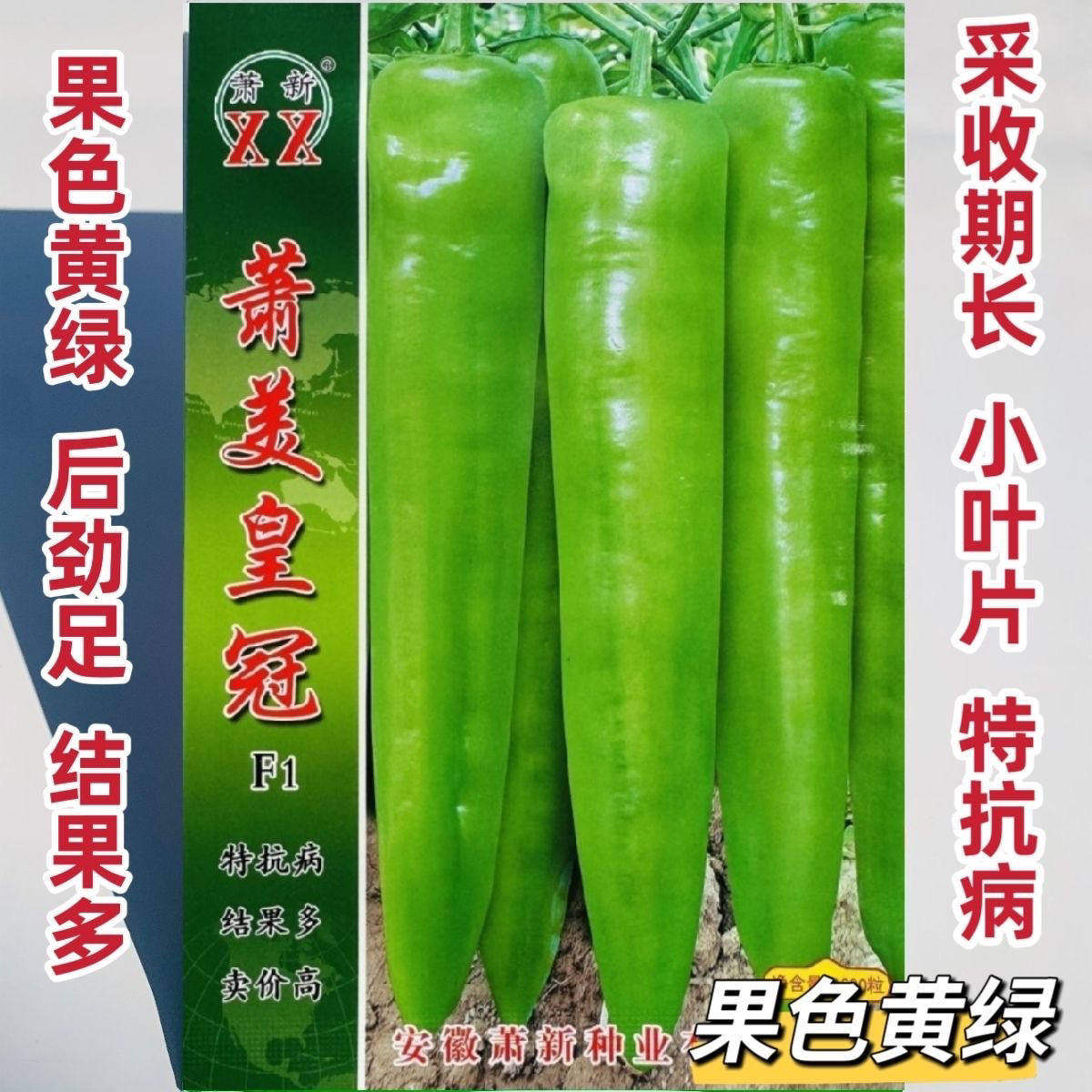 萧美皇冠辣椒种子早熟大果黄绿皮牛角椒种籽肉厚顺直特抗病春秋播