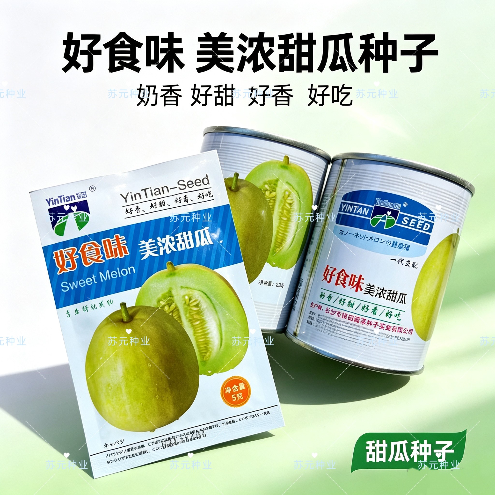 好食味美浓甜瓜种子超甜薄皮酥香脆爽多汁甜掉牙四季盆栽水果种籽