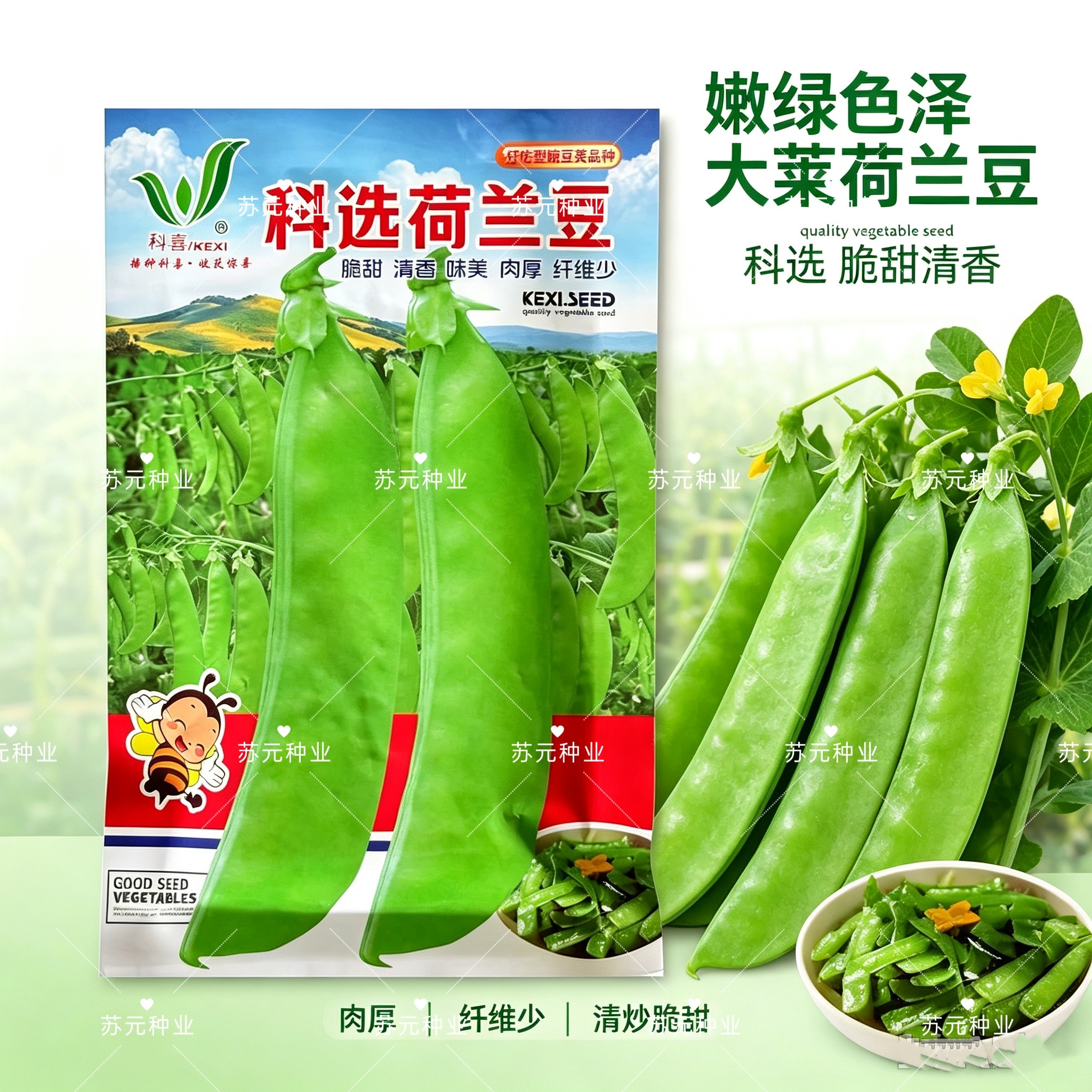 科选荷兰豆种子好吃型豌豆荚脆甜清香味美肉厚纤维少秋冬播蔬菜籽