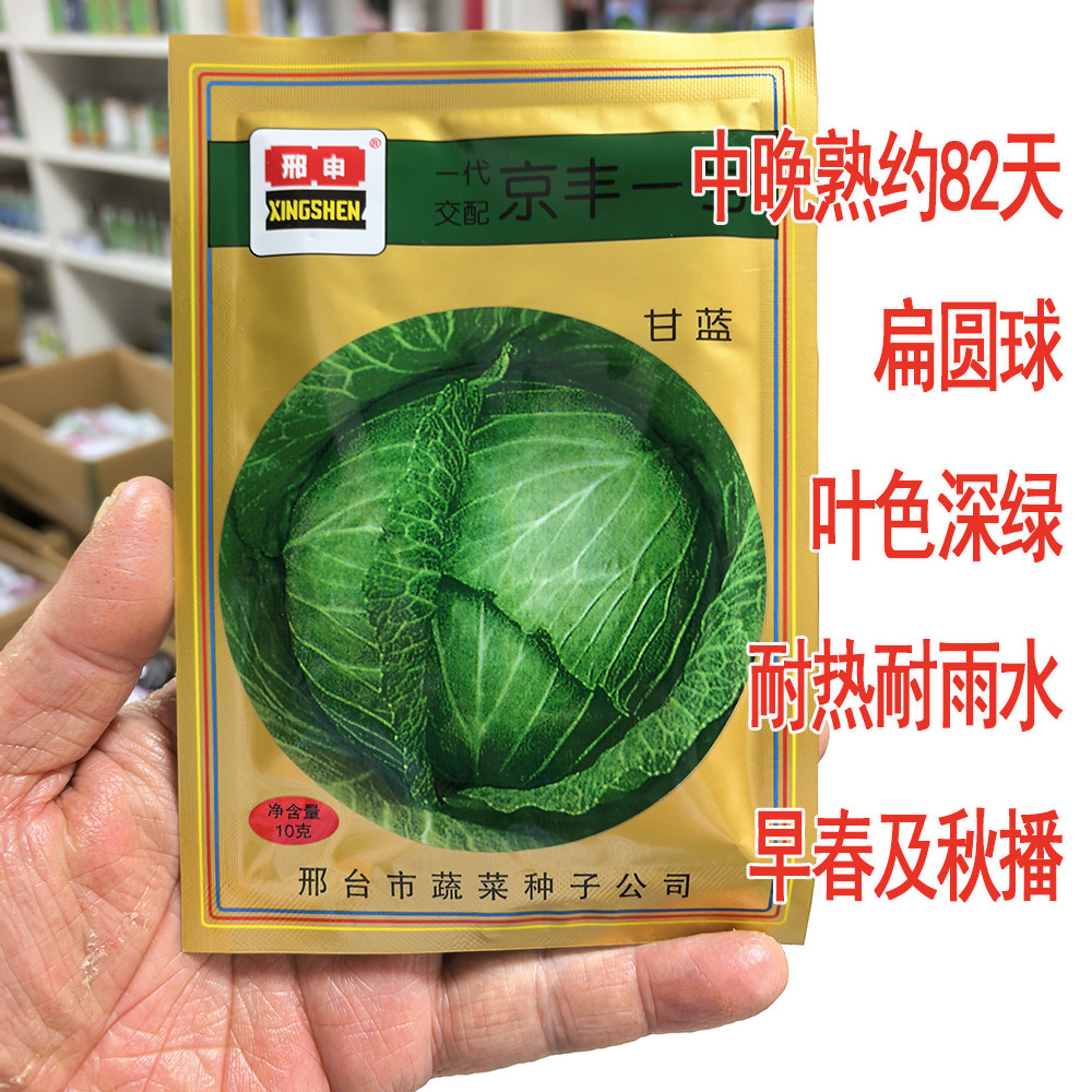 邢申京丰一号甘蓝种子口感好耐裂中晚熟包菜种子春秋种植甘兰种子