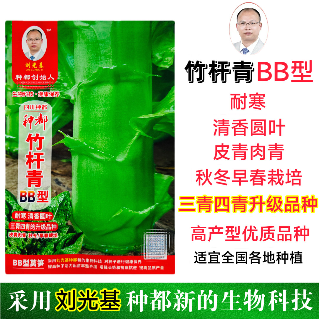 竹杆青莴笋种子耐寒耐热高产抗病三青四青莴苣种籽农家蔬菜种子孑