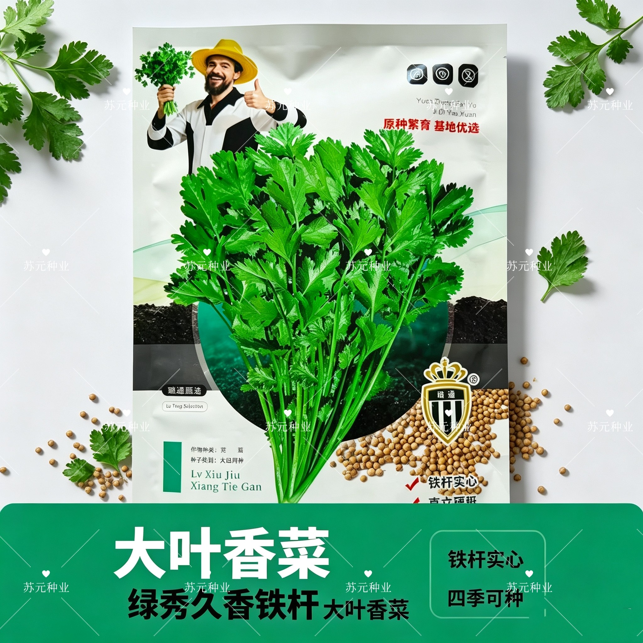 绿秀久香铁杆香菜种子农家菜园四季芫荽种籽香味浓油亮耐抽苔菜孑