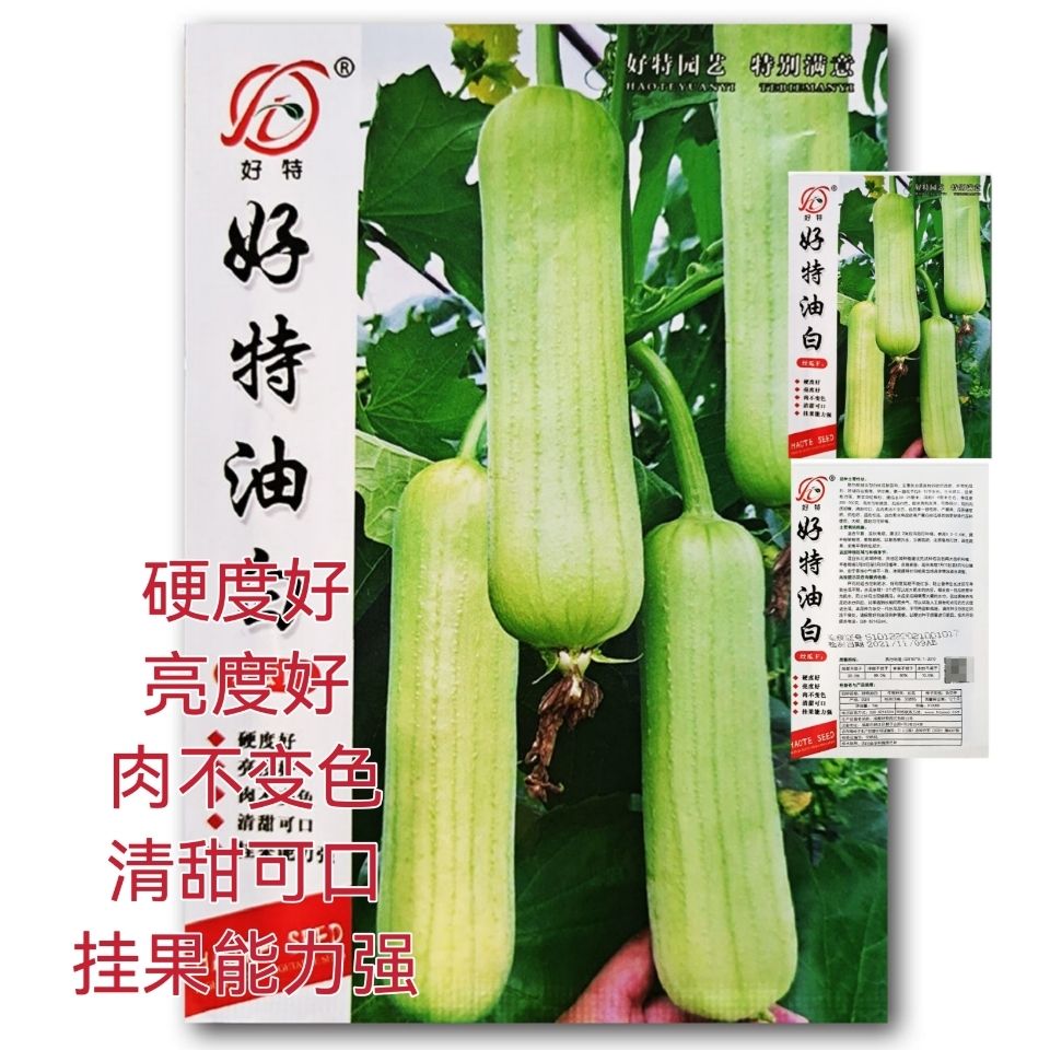 好特油白丝瓜种子早熟高产抗病耐热耐寒春秋播长丝瓜种籽蔬菜种子