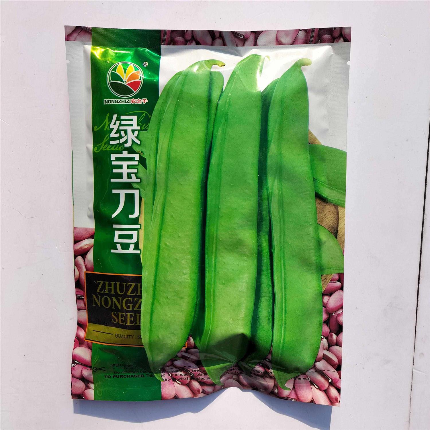 绿宝刀豆种子早熟无筋豆种子肉厚纤维少品质佳四季豆种子