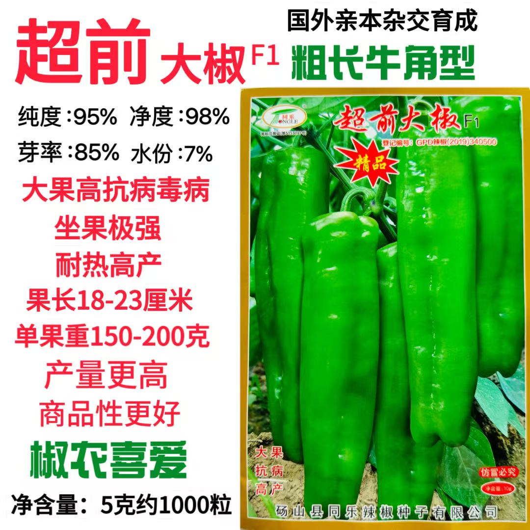 超前大椒特大青椒牛角辣椒种子早熟蔬菜种子高产菜椒泡椒种籽