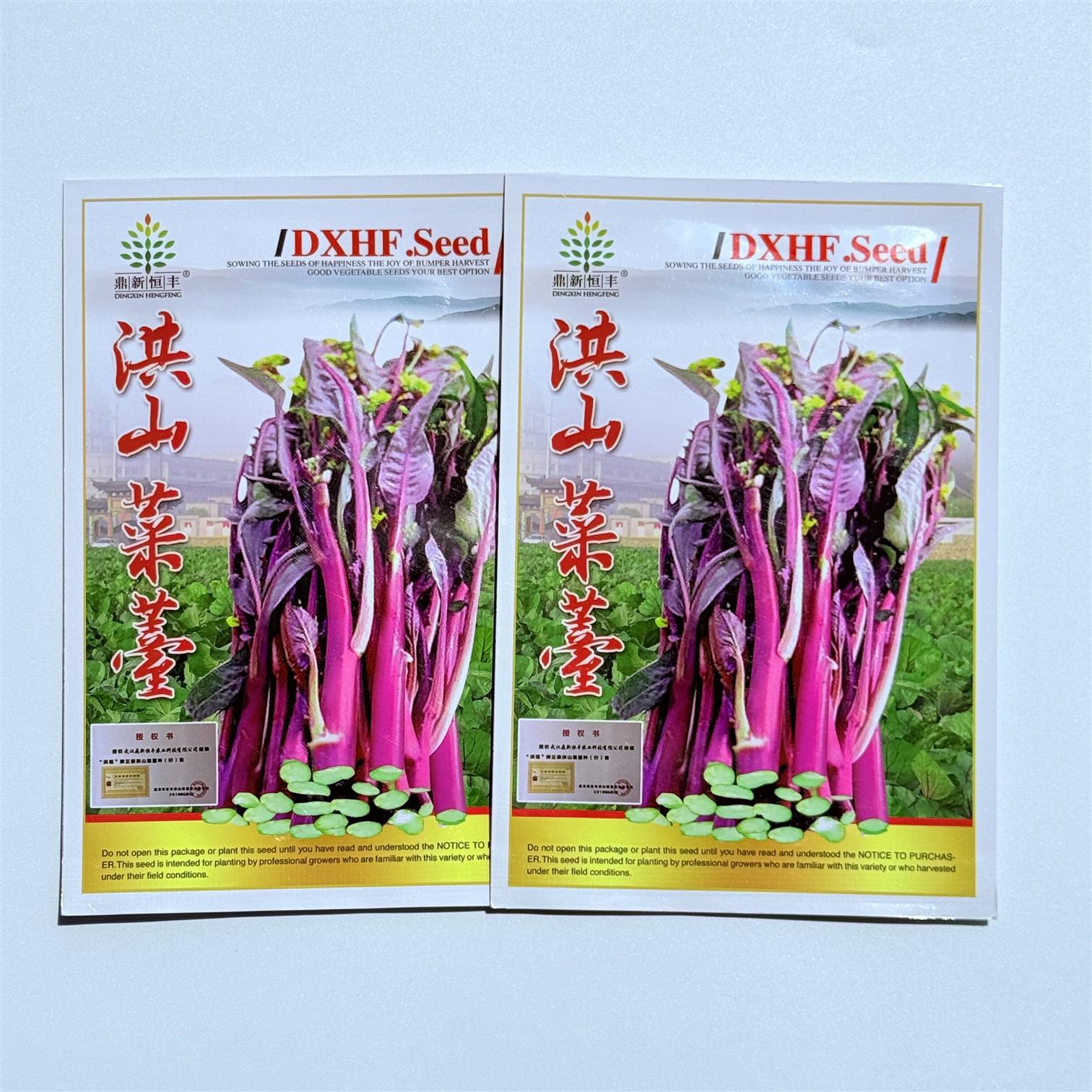 洪山菜薹种子红菜苔种籽农家秋播中晚熟高产紫红色菜薹蔬菜种孑籽