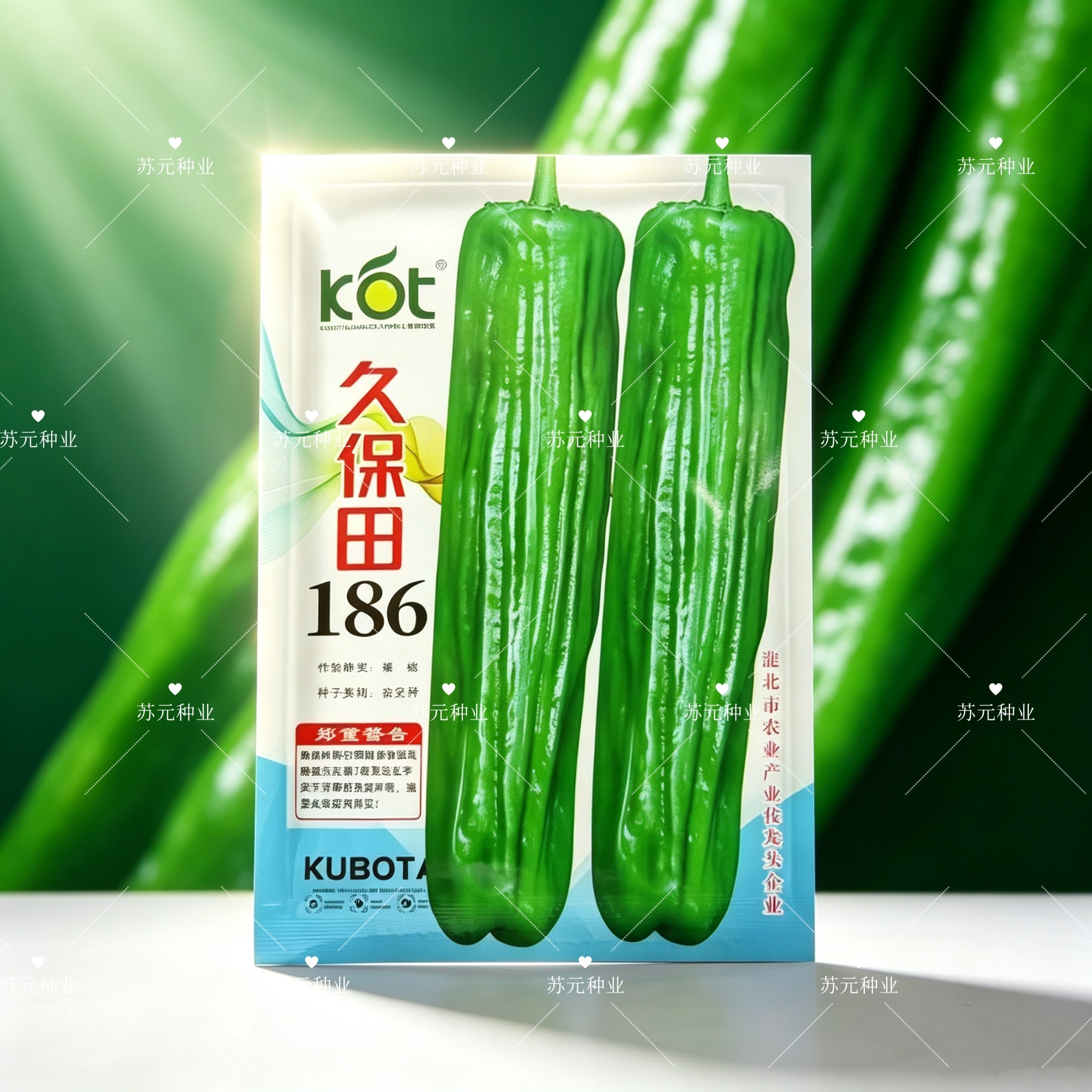 久保田186辣椒种子早中熟杂交大果薄皮泡椒春秋播种抗病青椒种籽